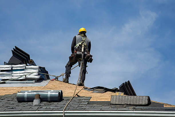Professional Gutter Installation technician working in Tarpon Springs, FL